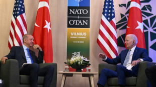 Biden thanks Erdogan for Sweden decision, backs F-16s sale