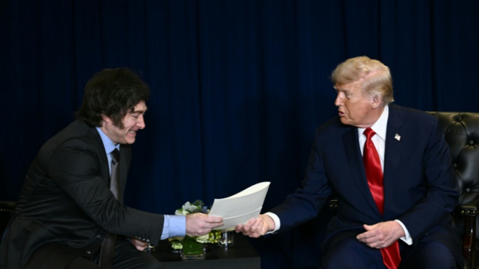 Washington en soutien appuy&eacute; &agrave; l'&eacute;conomie de son alli&eacute; argentin Milei