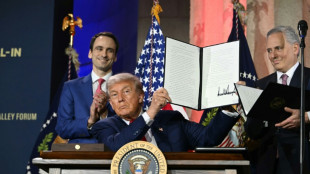 Trump's AI plan prioritizes deregulation to boost US dominance