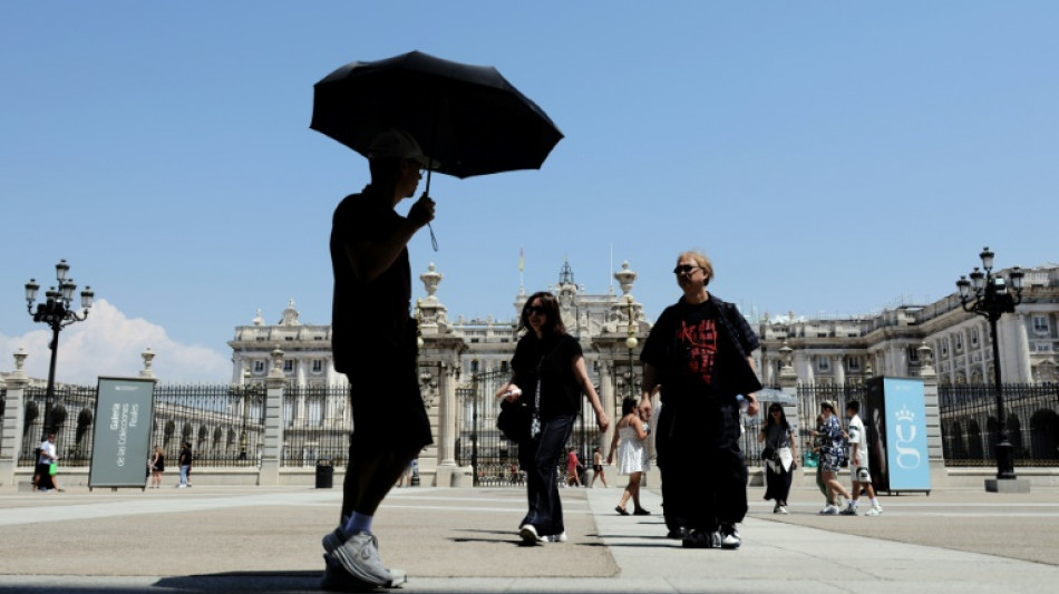Climate change made European heatwave up to 4C hotter: study