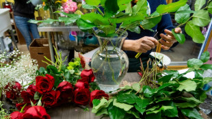 Décès d'une fillette liée aux pesticides: la famille se pourvoit en cassation