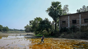 Auge das baterias provoca epidemia de intoxicação por chumbo em Bangladesh