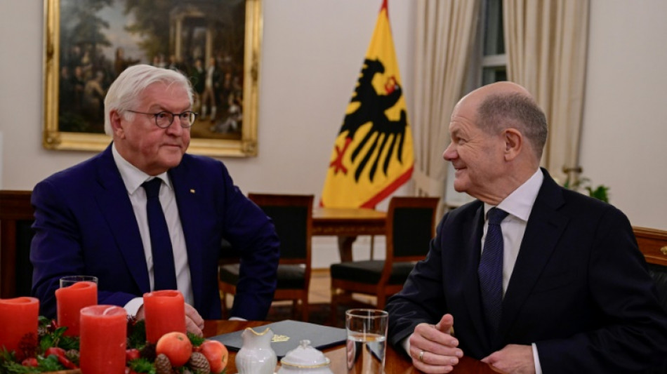 Steinmeier nimmt Gespr&auml;che mit Fraktionen &uuml;ber Neuwahl auf