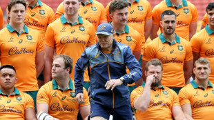 Schmidt says Wallabies must hit the ground running in Melbourne