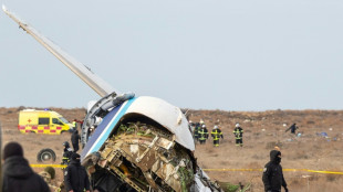 Crash au Kazakhstan: l'avion vis&eacute; par "des tirs" depuis le territoire russe, selon le pr&eacute;sident azerba&iuml;djanais
