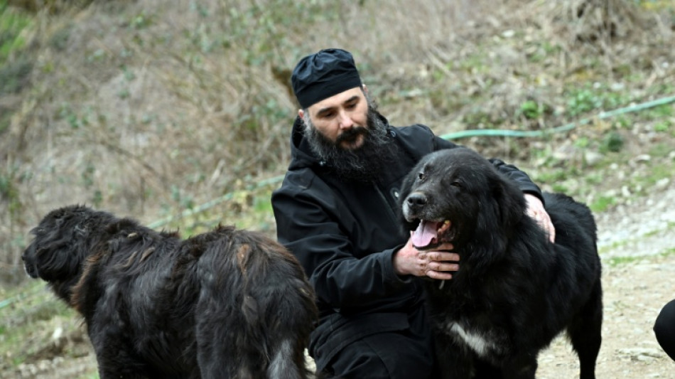  Dans les montagnes de Mac&eacute;doine du Nord, le combat pour la reconnaissance des chiens Karaman 