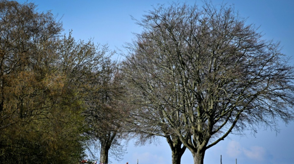  Amstel Gold Race: Evenepoel grand favori en l'absence de Pogacar 