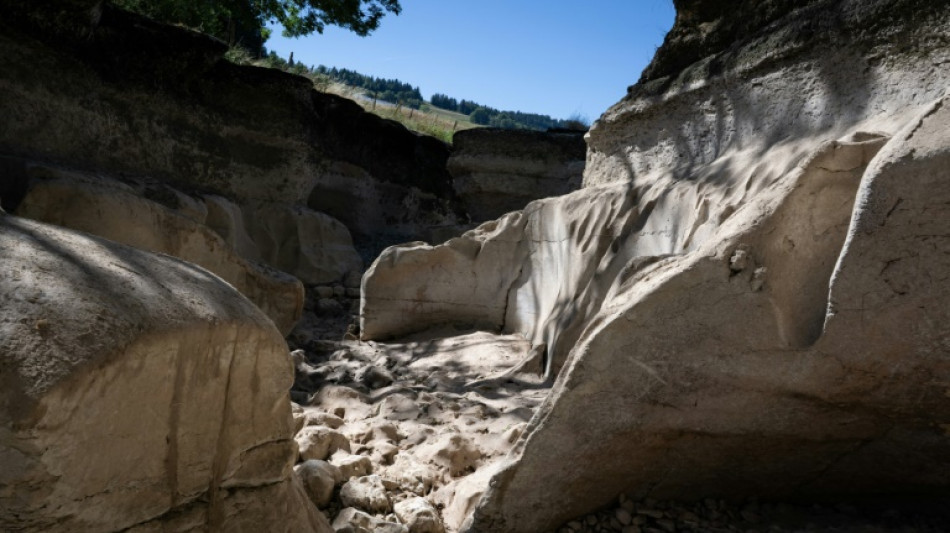  "C'est lunaire": pr&egrave;s de la fronti&egrave;re franco-suisse en pleine s&eacute;cheresse, la rivi&egrave;re a disparu 