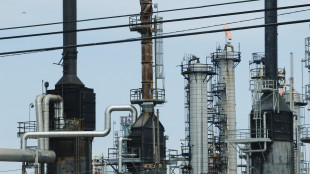 Il prezzo del gas supera i 40 euro sulla piazza Ttf di Amsterdam