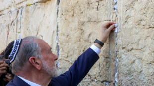 New US envoy prays, delivers Trump 'peace' message at Western Wall