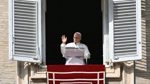 Papa denuncia 'sofrimento inaceitável' da população no Sudão