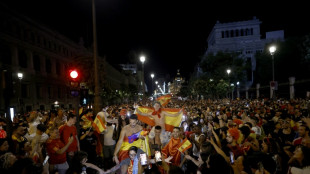 Ecstatic celebrations as Spaniards fete World Cup triumph