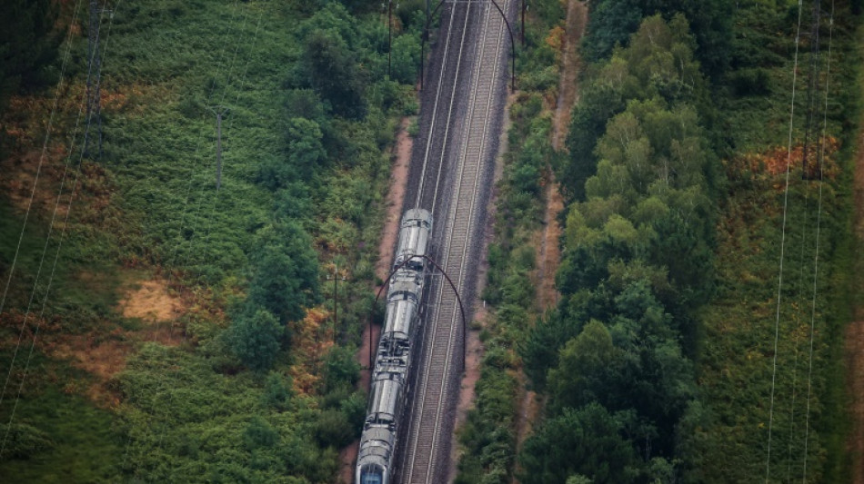P&eacute;ages ferroviaires: le Conseil d'Etat donne raison &agrave; huit r&eacute;gions contre SNCF R&eacute;seau