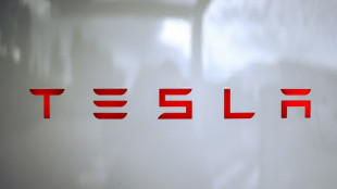 Tesla expected to launch long-discussed robotaxi service 