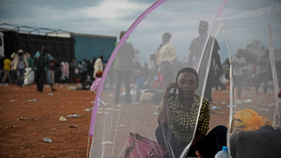 Chipknappheit durch KI bremst st&auml;rkere weltweite Internetverbreitung aus