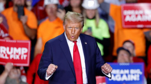 Trumps Vereidigung: Band Village People und Country-S&auml;ngerin Carrie Underwood treten auf 