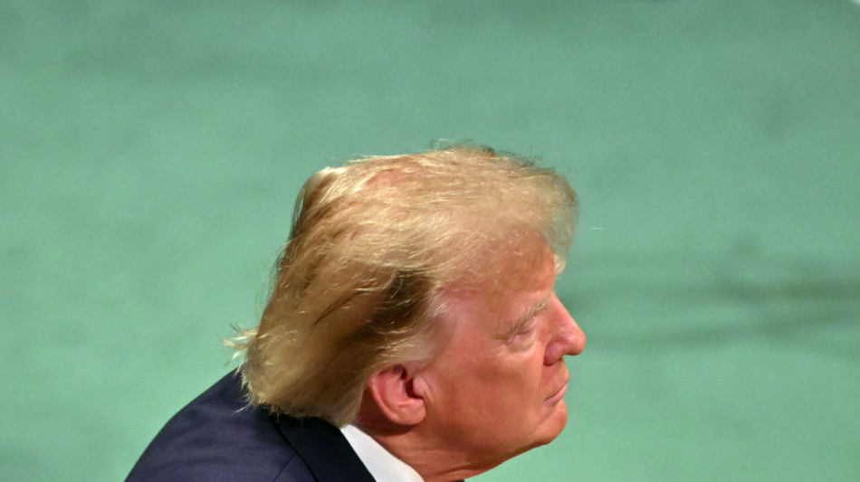  Trump, favorevole ad un bando sull'export di diesel Usa 