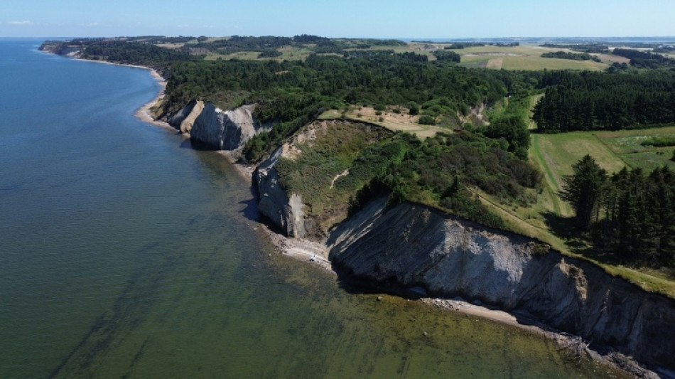  Danish fish fossil cliffs set to gain UNESCO status 