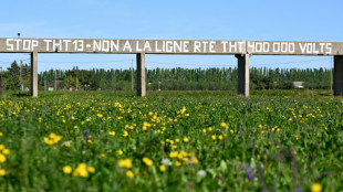 Un "fuseau" choisi pour le projet controvers&eacute; de ligne tr&egrave;s haute tension vers Fos-sur-Mer