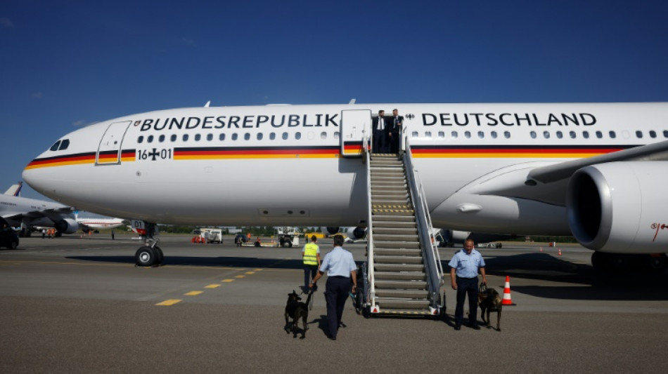 German minister axes trip over broken plane