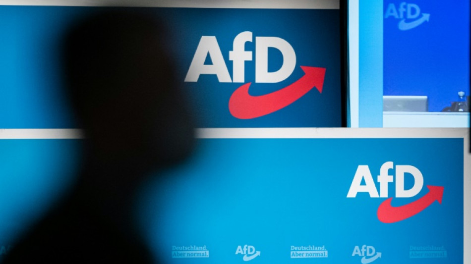 Bayerns Regierungschef S&ouml;der gegen AfD-Verbotsverfahren: "Falscher Weg"