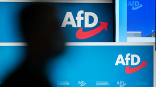 Laschet warnt vor AfD-Regierungsbeteiligung auf L&auml;nderebene