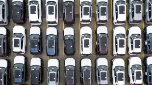 Scattano dazi Usa del 25% sui componenti auto importati