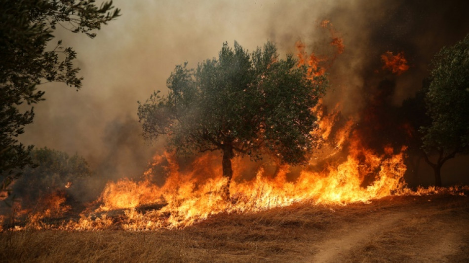  Los bomberos siguen luchando contra los incendios forestales en Grecia 