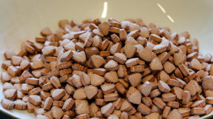 Australia autoriza el uso m&eacute;dico del &eacute;xtasis y los hongos alucin&oacute;genos