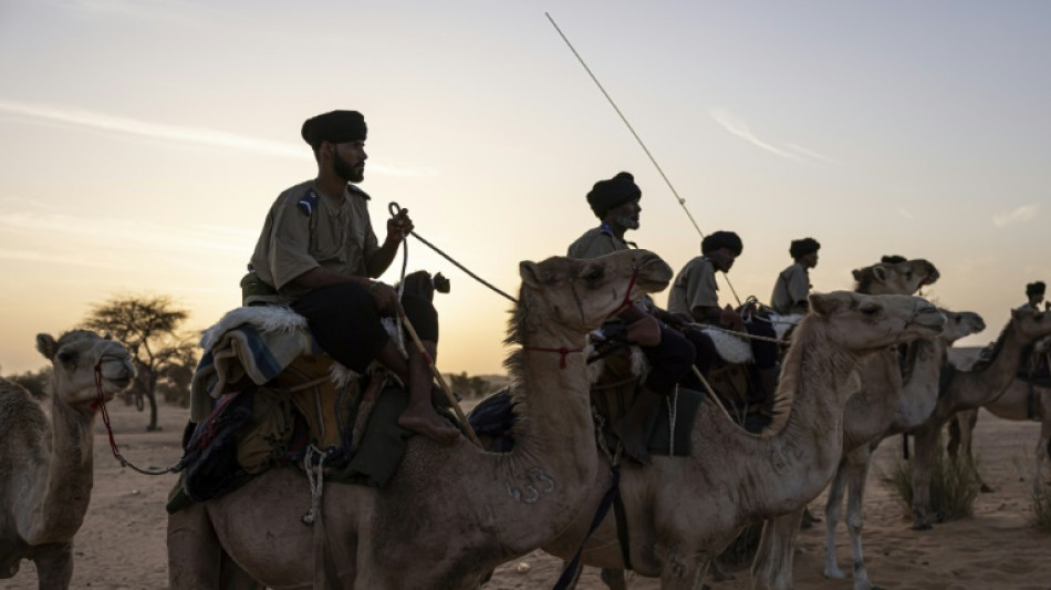 On patrol for jihadists with Mauritania's camel cavalry