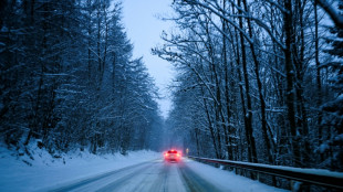Deutschland r&uuml;stet sich f&uuml;r Schneefront - Schulausf&auml;lle und erste Unf&auml;lle