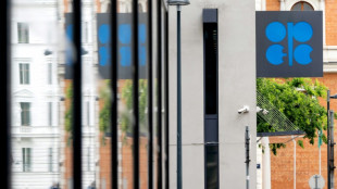 Opep+ aumenta produção de petróleo em 547.000 barris diários