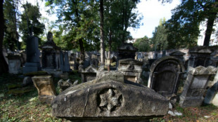 Austria naturaliz&oacute; desde 2020 a m&aacute;s de 40.000 descendientes de v&iacute;ctimas del nazismo