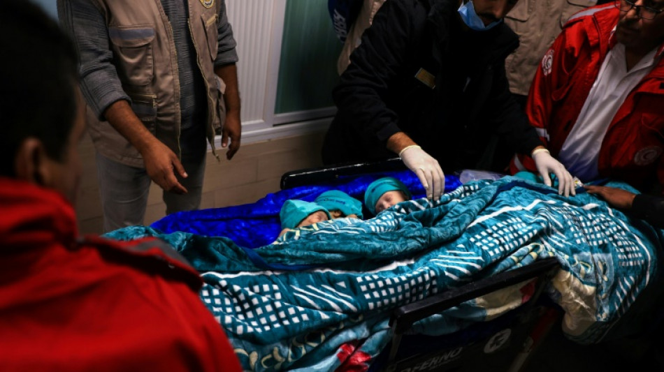 Egito recebe 29 beb&ecirc;s prematuros retirados do Hospital Al Shifa de Gaza