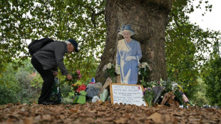 Latinos de Londres, entre indiferencia e indignaci&oacute;n por el fastuoso funeral real