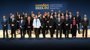 Once pa&iacute;ses de la Uni&oacute;n Europea se unen para promover la energ&iacute;a nuclear