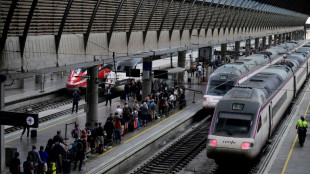 Spain starts probing causes of massive blackout