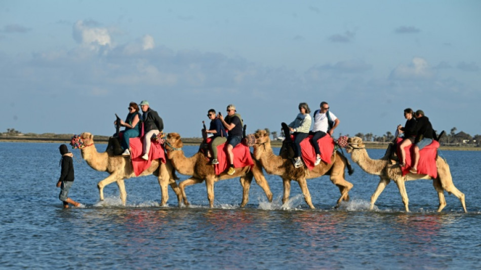  Tunisie: &agrave; Djerba, un d&eacute;but de saison touristique ralenti par la crise au Moyen-Orient 