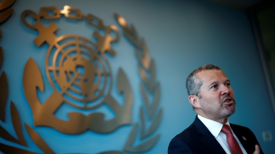  UN-Schifffahrtsorganisation: Jegliche Blockaden der Stra&szlig;e von Hormus illegal 