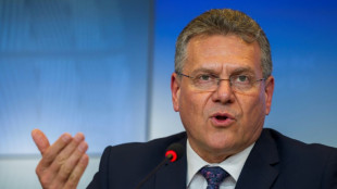 Zollkonflikt: EU-Handelskommissar Sefcovic am Montag f&uuml;r Gespr&auml;che in Washington