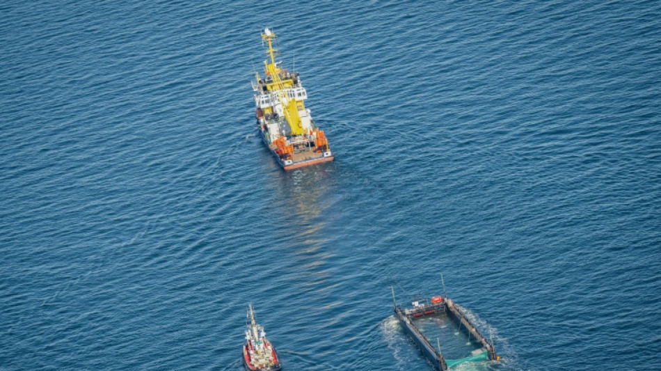  Allemagne: le remorquage de la baleine &eacute;chou&eacute;e se poursuit au large du Danemark 