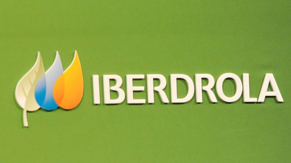 El 2% de los clientes franceses de la el&eacute;ctrica Iberdrola invitados a proveerse en otro lugar