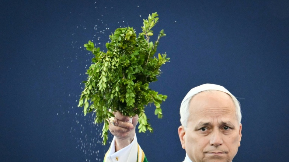  Pope urges French bishops to 'persevere' against clerical sex abuse 