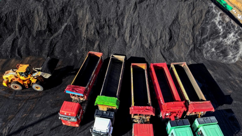 Nuevos proyectos de carb&oacute;n amenazan los objetivos clim&aacute;ticos de China, seg&uacute;n un informe