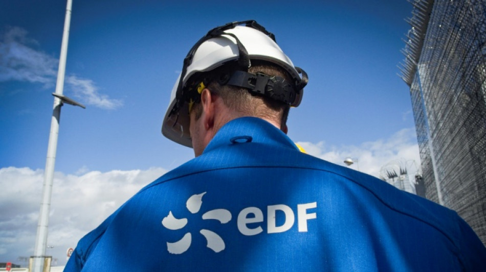 Renationalisation contest&eacute;e d'EDF: la cour d'appel s'appr&ecirc;te &agrave; trancher