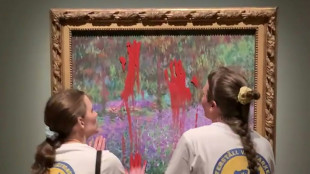 Monet-Gem&auml;lde mit Farbe beschmiert: Freispruch f&uuml;r Klima-Aktivistinnen in Schweden