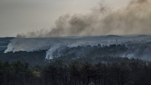Incendies de for&ecirc;t en Gr&egrave;ce : au moins 150.000 hectares touch&eacute;s