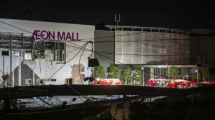 Two dead in shopping mall hit by Japan quake