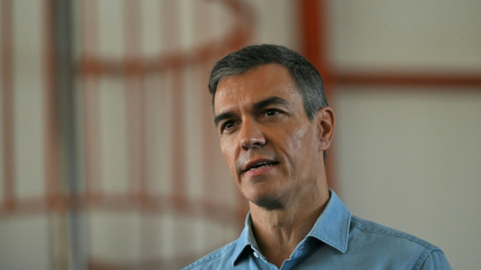  Pedro S&aacute;nchez llama a mejorar la "prevenci&oacute;n" tras el mort&iacute;fero incendio en el sur de Espa&ntilde;a 