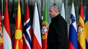 L'Ukraine va entamer des "consultations" en Suisse avec les Américains sur un "futur accord de paix" avec Moscou